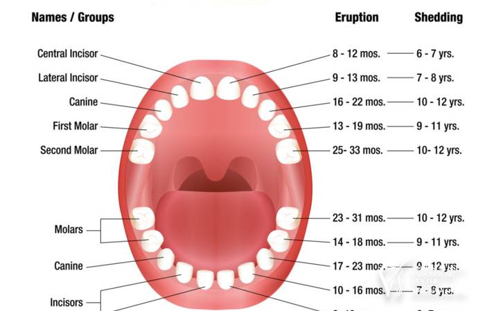 مراقبت و درمان دندان های دائمی کودکان 